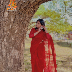 Red Fancy Saree
