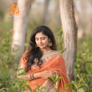 Orange Banarasi Tissue Silk Saree